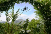 /album/i-fiori-di-casa-acquarella/a11-img-8507-r-jpg/